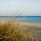 Dünen am Timmendorfer Strand