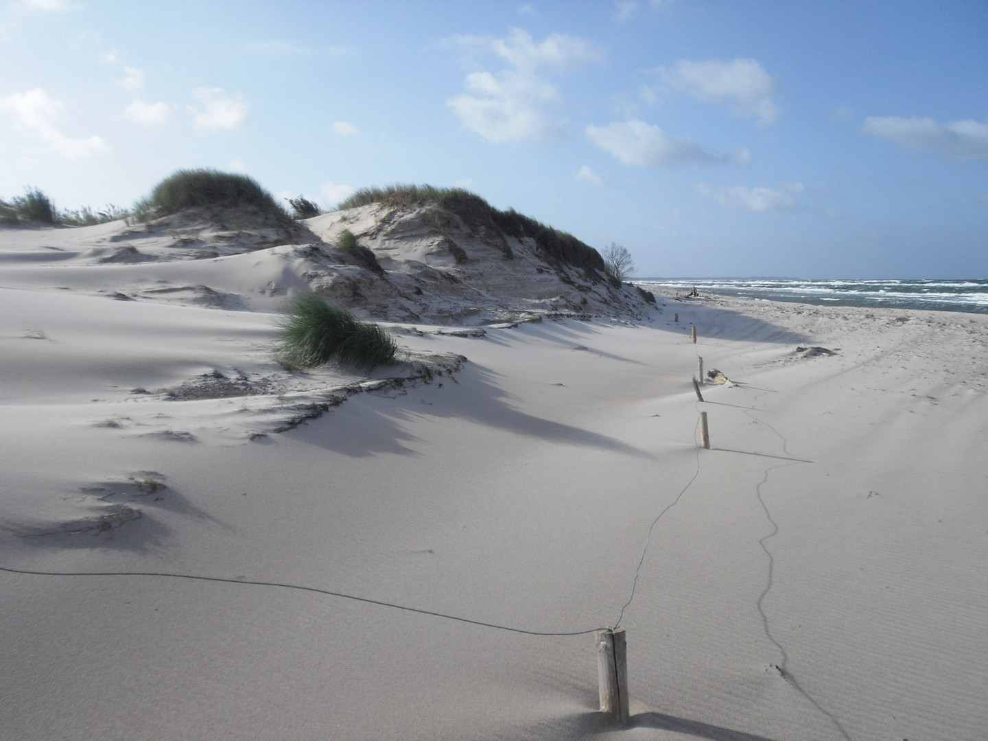 Dünen am Weststrand von Prerow