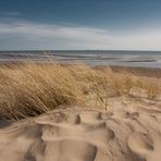 Dünen an der Nordsee