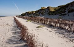 Dünen an der Nordspitze von Amrum