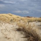 Dünen an der Ostsee