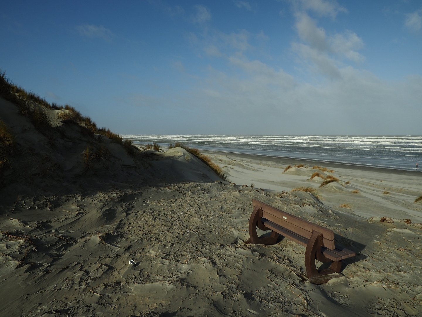 Dünen auf Ameland