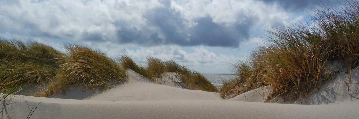 Dünen auf Amrum