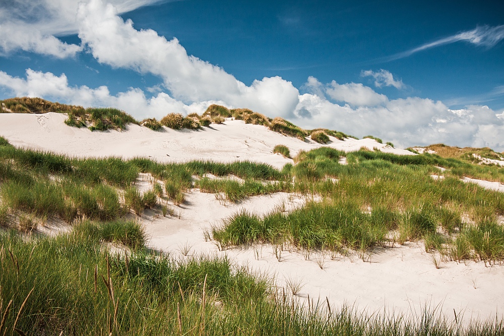 Dünen auf Amrum