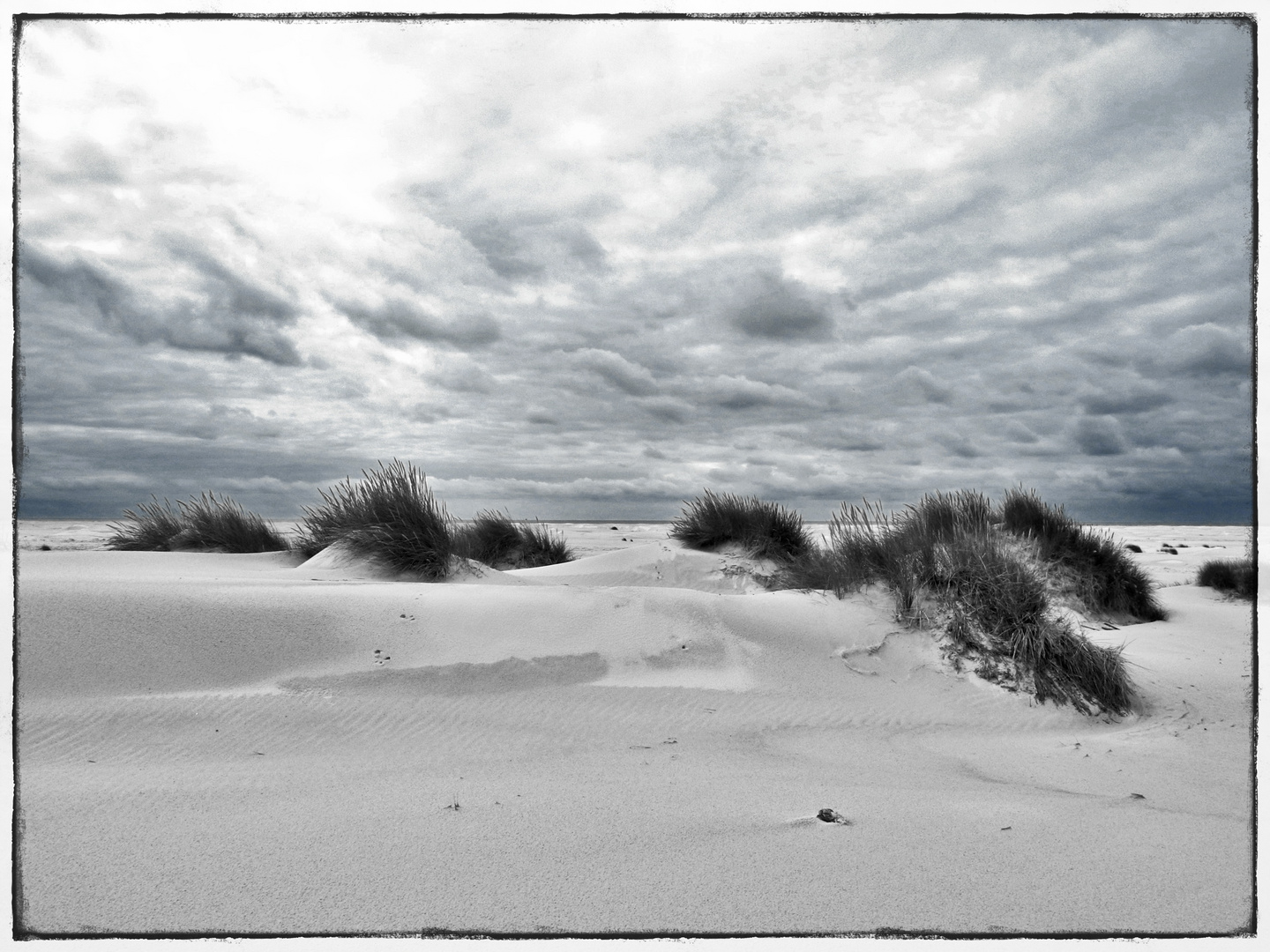 Dünen auf Amrum