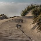 Dünen auf Amrum