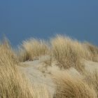 Dünen auf Baltrum