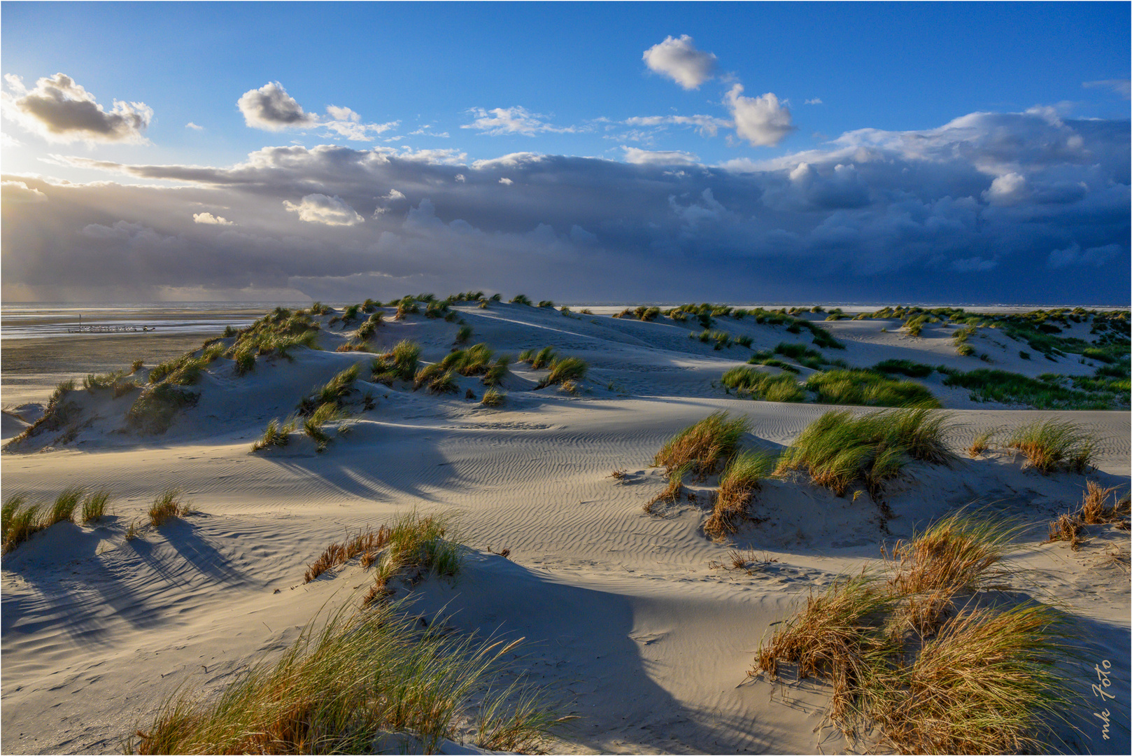 Dünen auf Borkum