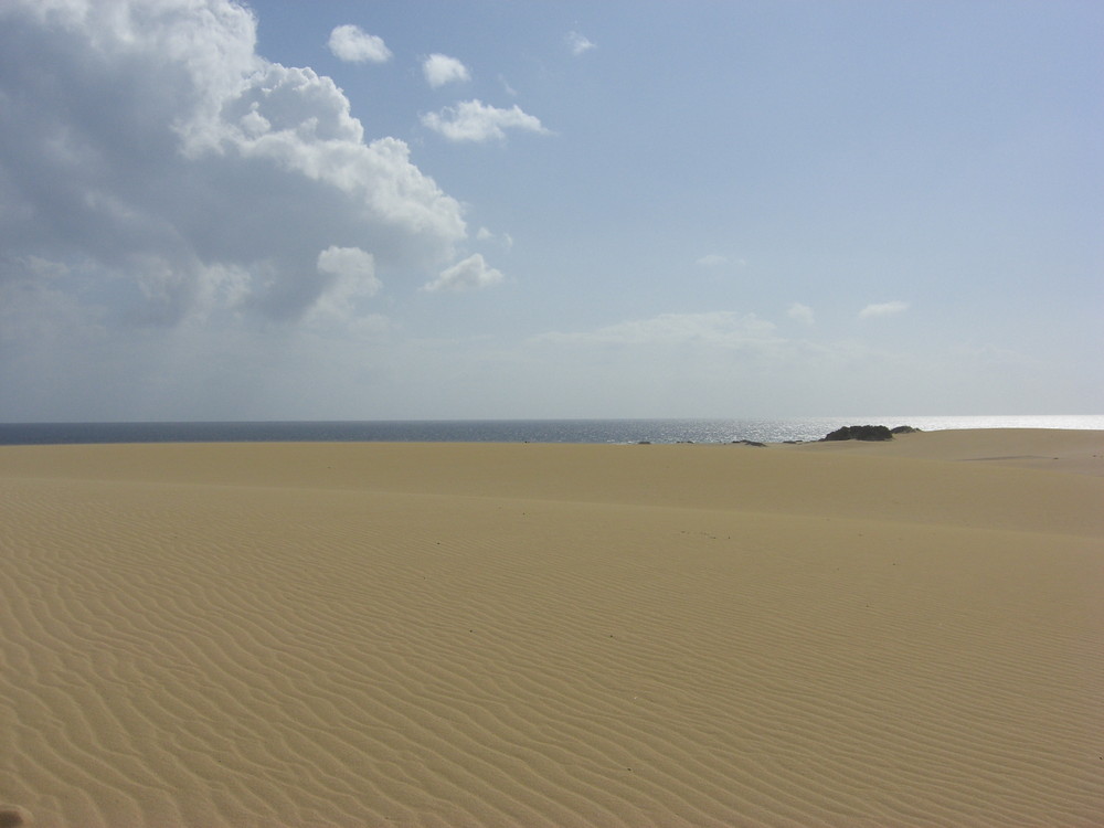 Dünen auf Fuerteventura von Veronika Kirchner 