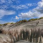 Dünen auf Norderney...