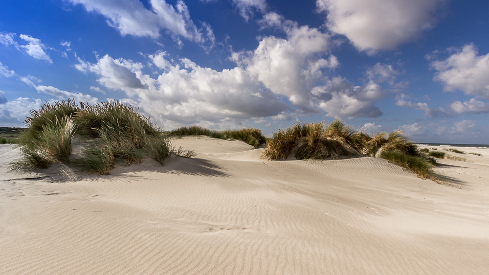 Dünen auf Schiermonnikoog