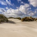 Dünen auf Schiermonnikoog