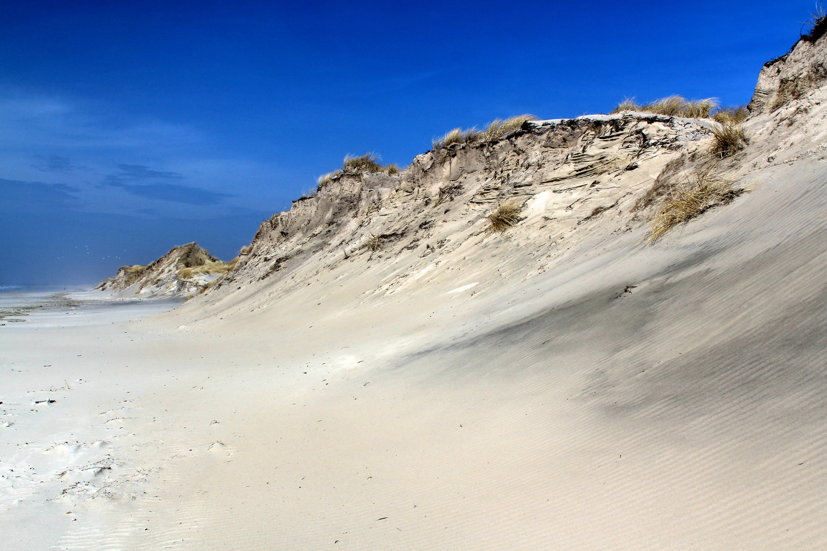 Dünen auf Skallingen