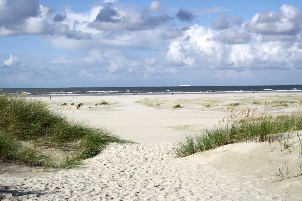 Dünen auf Spiekeroog