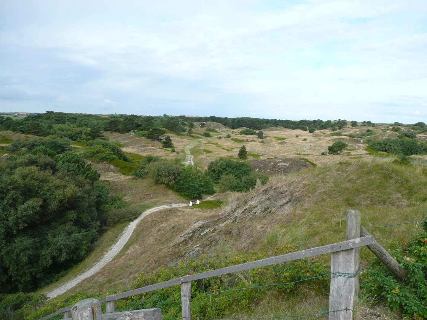 Dünen auf Spiekeroog