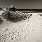 Dünen auf Sylt