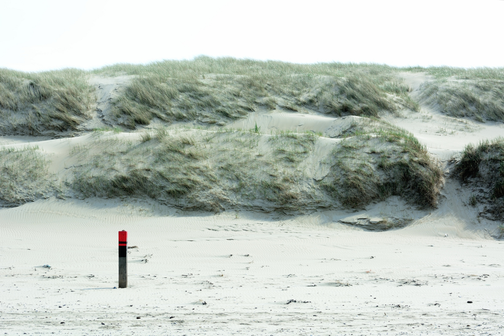 Dünen auf Texel