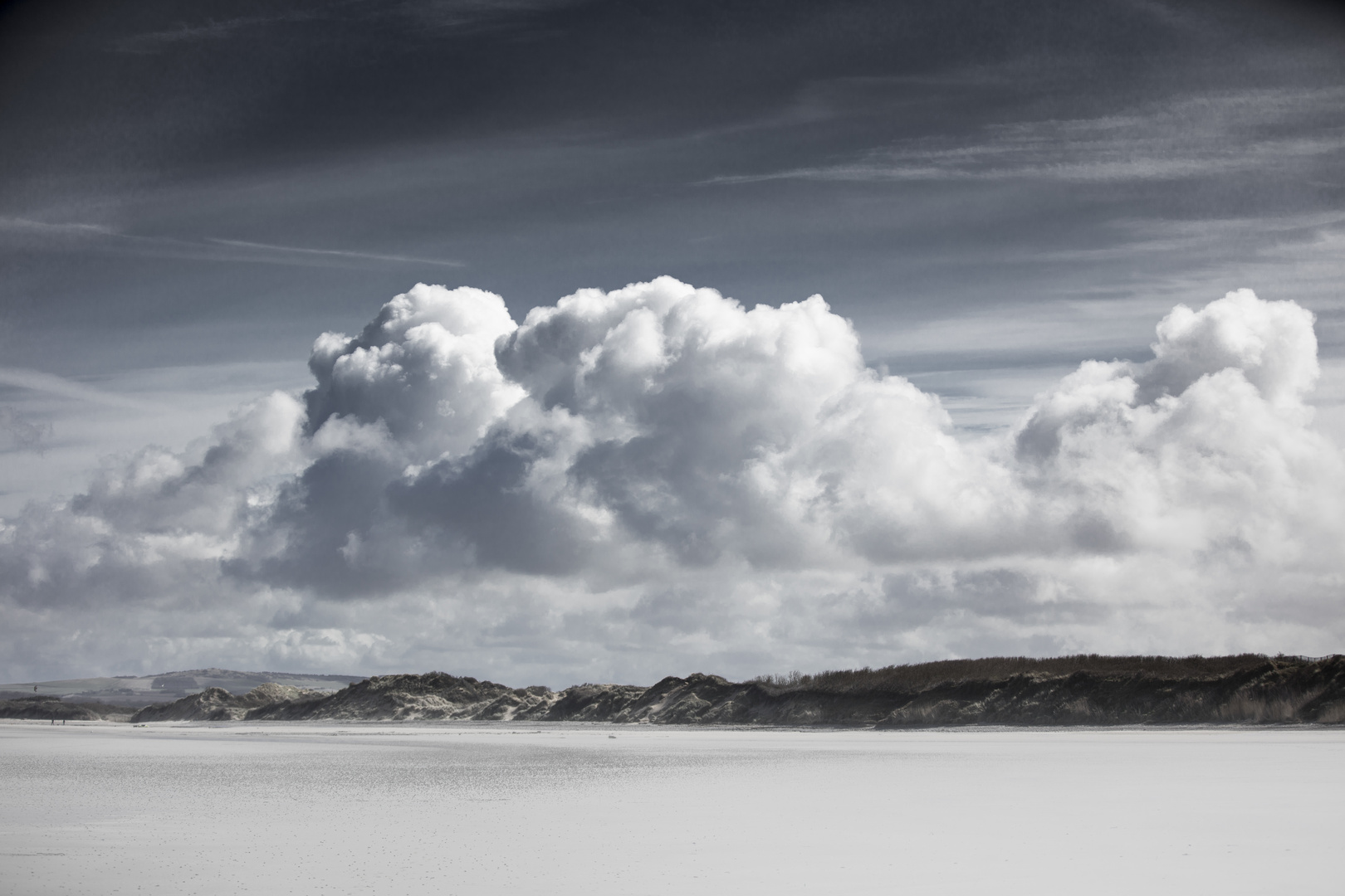 Dünen bei Cap gris Nez