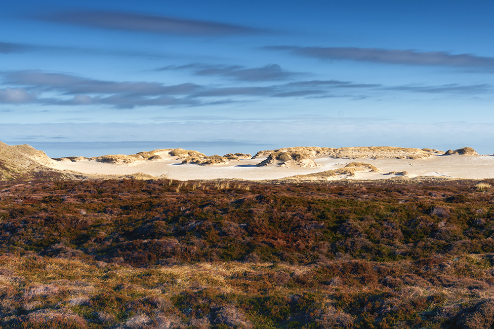 Dünen bei List im Sonnenlicht