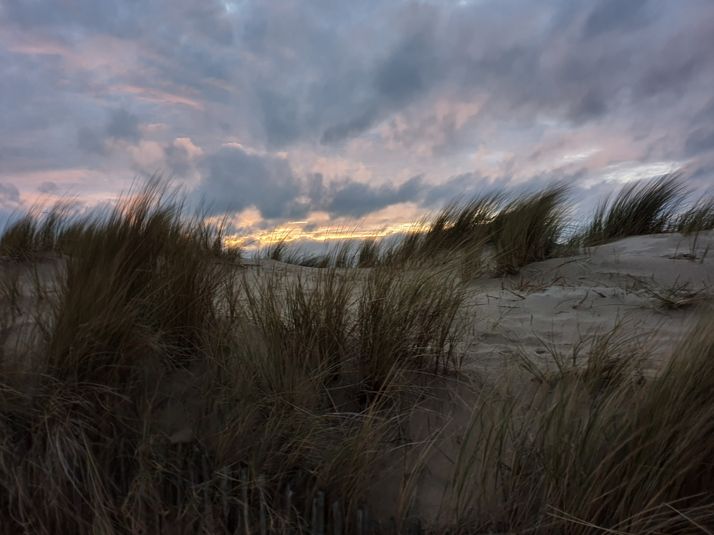 Dünen bei Nacht, Zeeland, Strandweelde