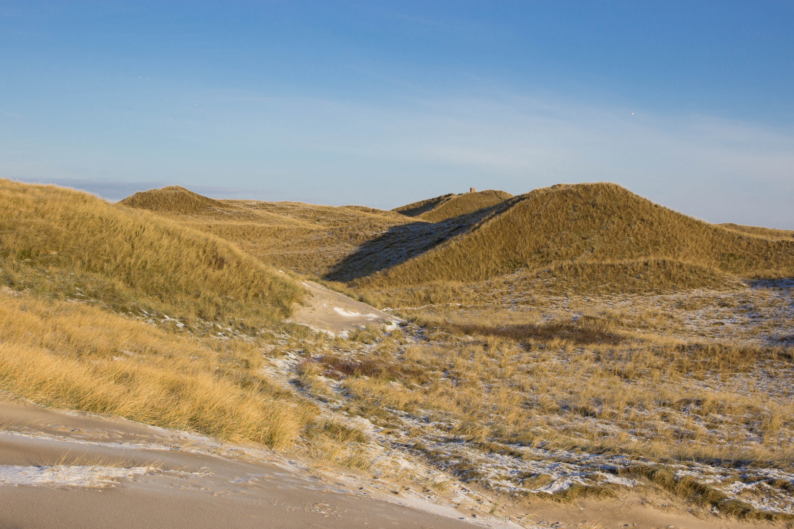 Dünen bei Ringkobing Dänemark