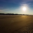 Dünen bei Ringkobing Dänemark im Gegenlicht