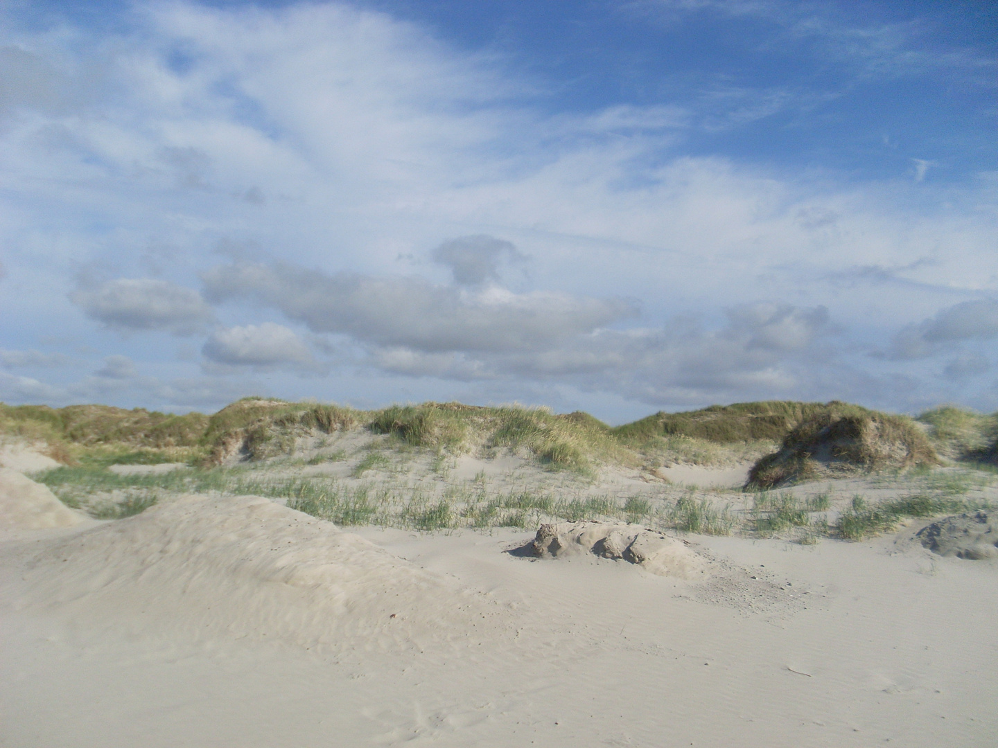 Dünen bei St. Peter Ording