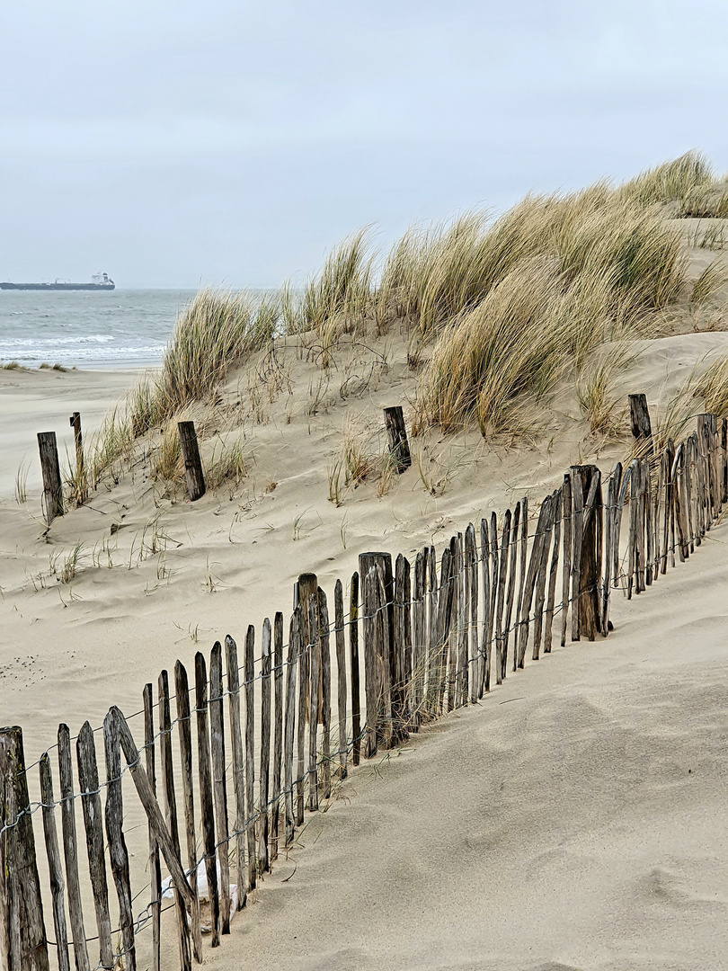 Dünen bei Strandweelde