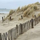 Dünen bei Strandweelde