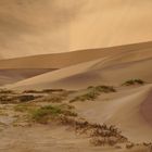 Duenen bei Swakopmund -dunes near Swakopmund.