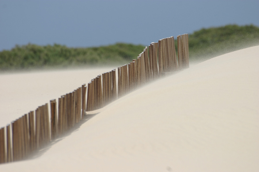 Dünen bei Tarifa