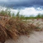 Dünen bei Warnemünde (Ostsee)