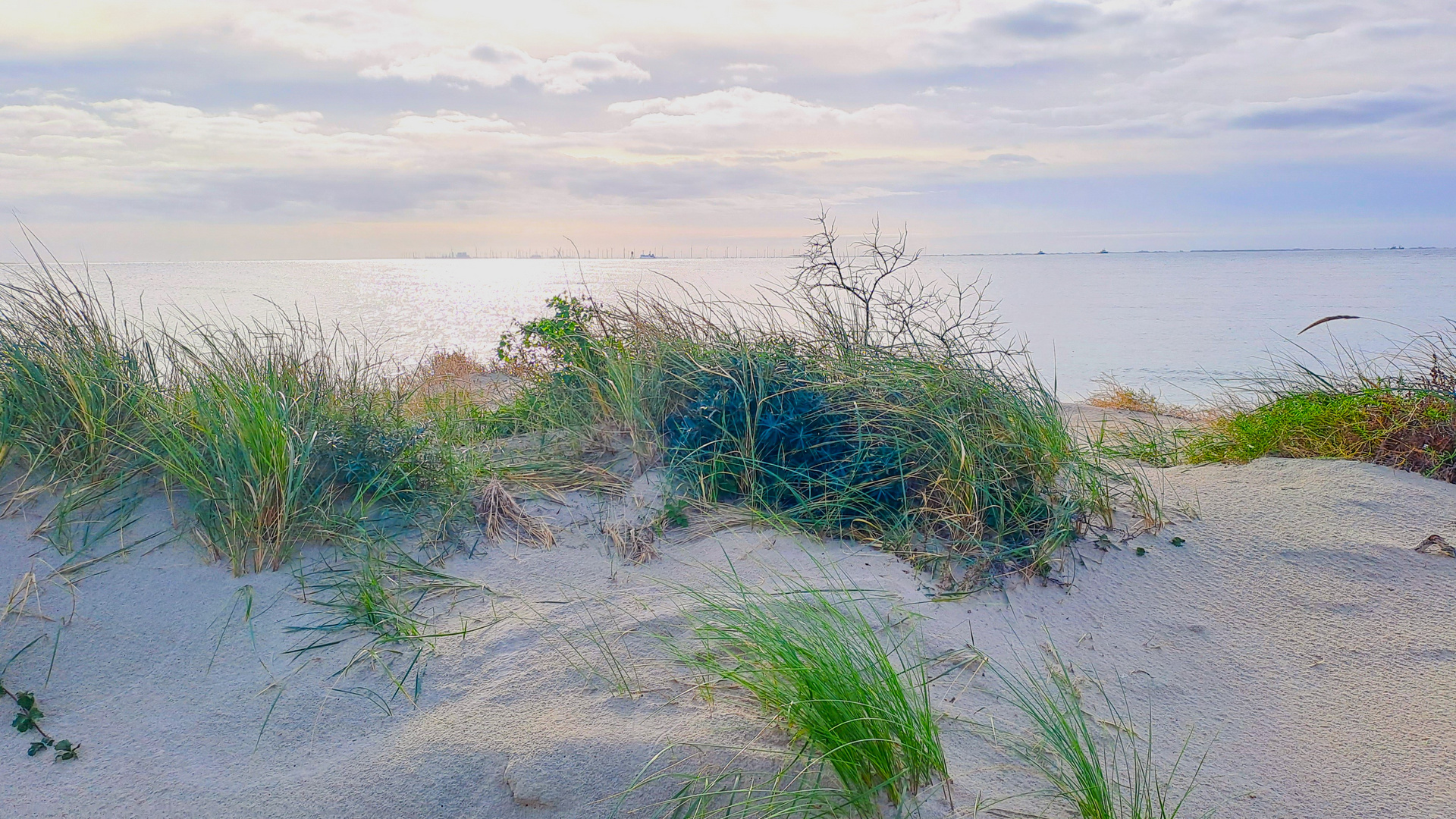 Dünen Borkum