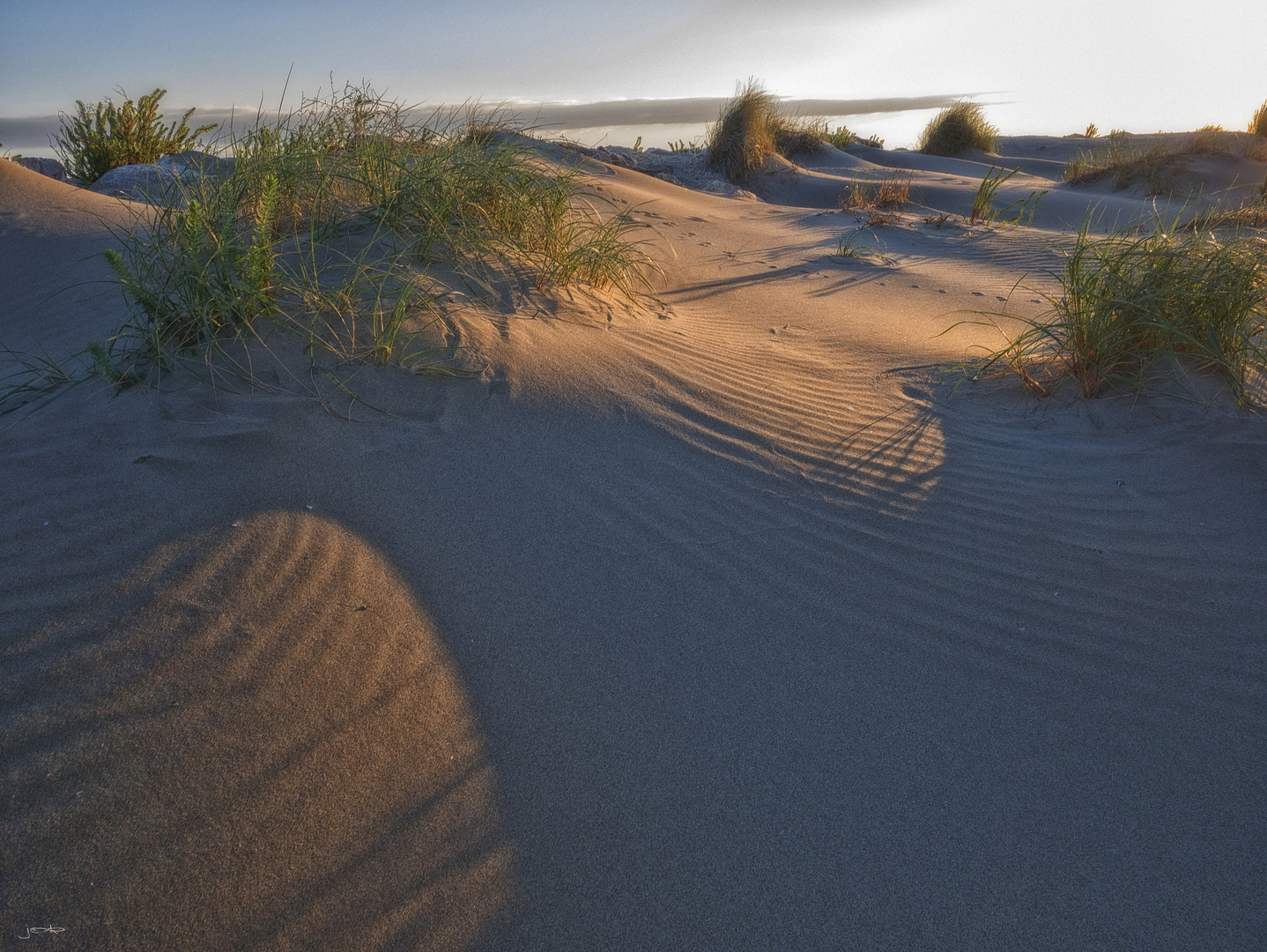 Dünen der Camargue