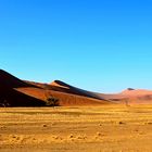 Dünen der Namib