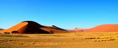 Dünen der Namib