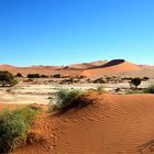 Dünen der Namib