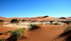 Dünen der Namib