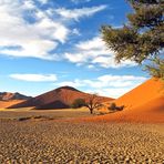 Dünen der Namib