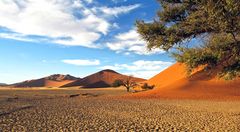 Dünen der Namib