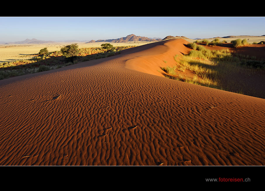 Dünen der Namib