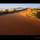 Dünen der Namib