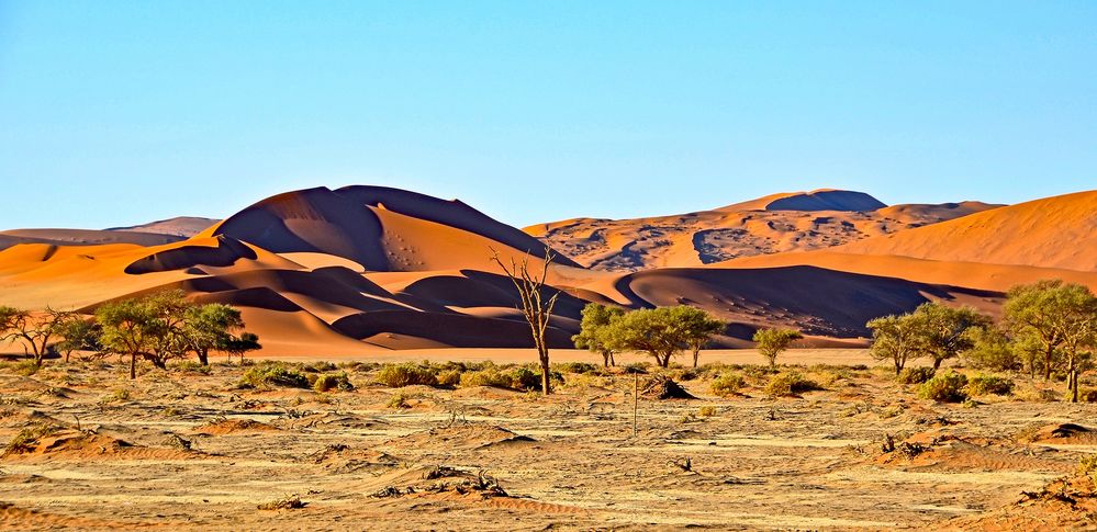 Dünen der Namib