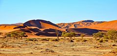 Dünen der Namib