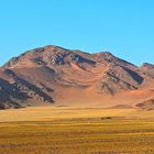 Dünen der Namib