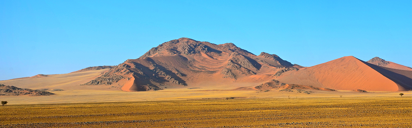 Dünen der Namib