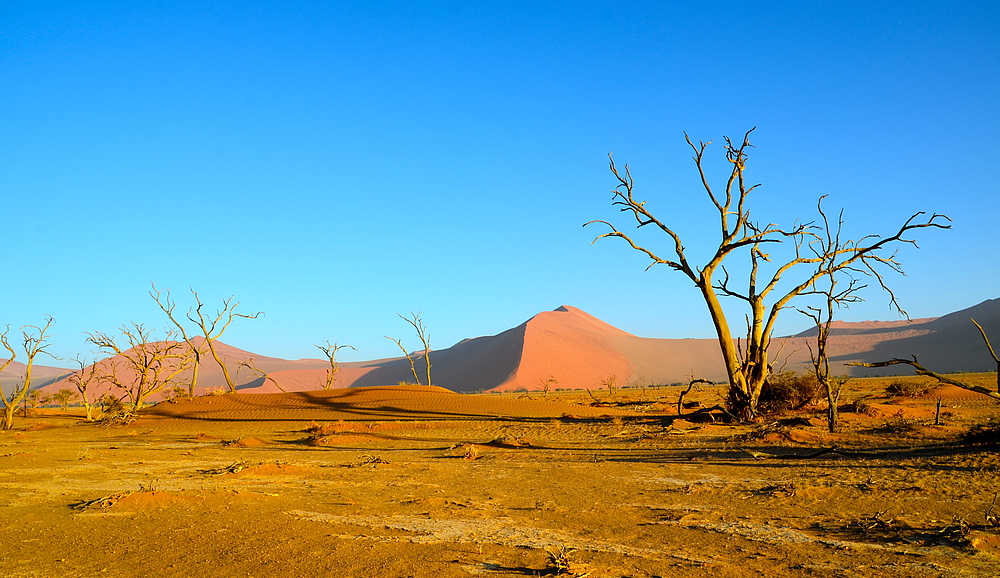 Dünen der Namib