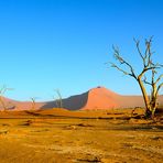 Dünen der Namib