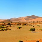 Dünen der Namib