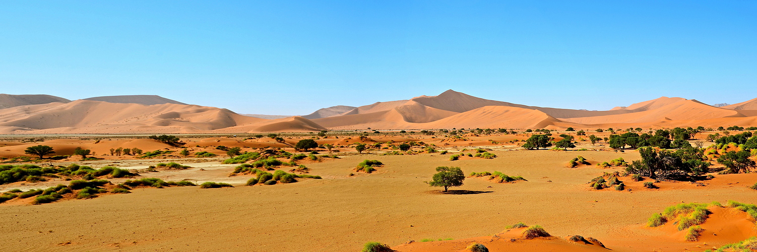 Dünen der Namib